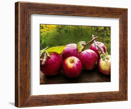 The Harvest I-Rachel Perry-Framed Photographic Print