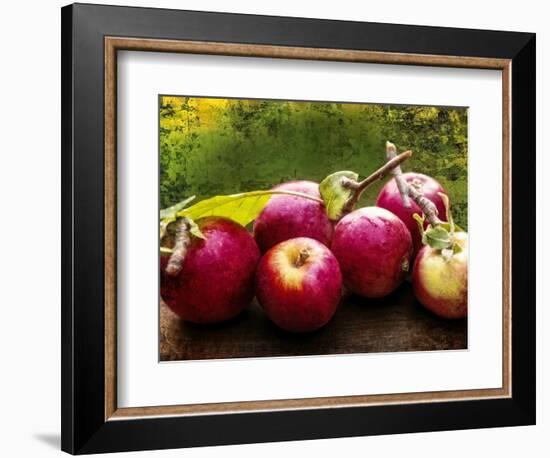 The Harvest I-Rachel Perry-Framed Photographic Print