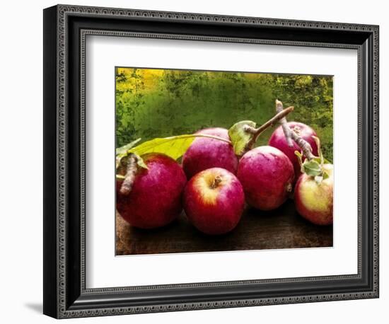 The Harvest I-Rachel Perry-Framed Photographic Print