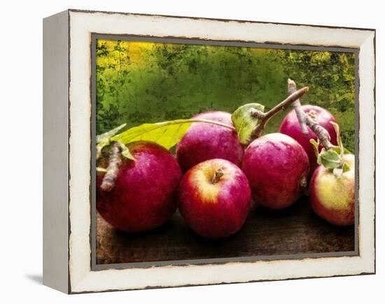 The Harvest I-Rachel Perry-Framed Premier Image Canvas