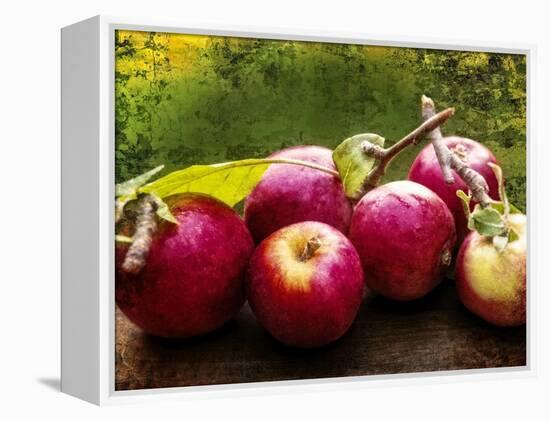 The Harvest I-Rachel Perry-Framed Premier Image Canvas