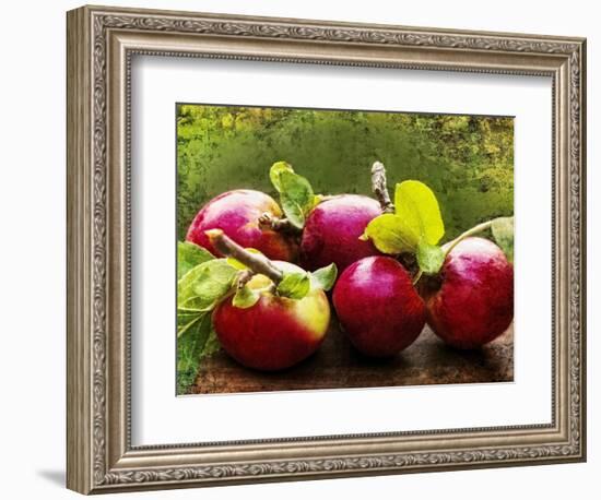 The Harvest II-Rachel Perry-Framed Photographic Print