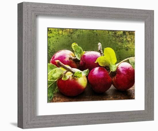 The Harvest II-Rachel Perry-Framed Photographic Print