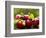 The Harvest II-Rachel Perry-Framed Photographic Print