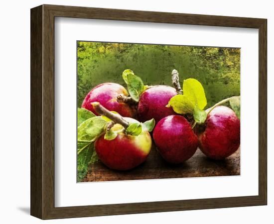 The Harvest II-Rachel Perry-Framed Photographic Print