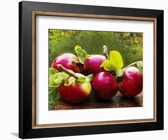 The Harvest II-Rachel Perry-Framed Photographic Print