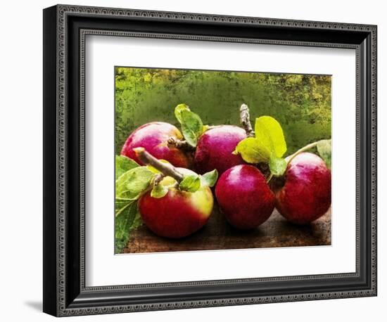 The Harvest II-Rachel Perry-Framed Photographic Print