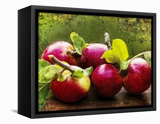 The Harvest II-Rachel Perry-Framed Premier Image Canvas