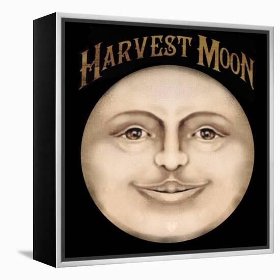The Harvest Moon-Vintage Apple Collection-Framed Premier Image Canvas