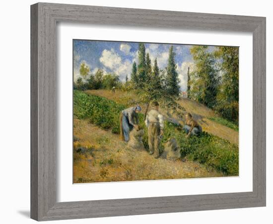 The Harvest, Pontoise, 1881-Camille Pissarro-Framed Giclee Print