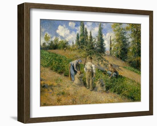 The Harvest, Pontoise, 1881-Camille Pissarro-Framed Giclee Print