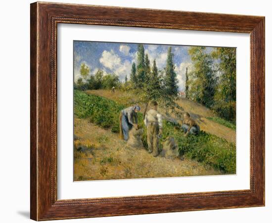 The Harvest, Pontoise, 1881-Camille Pissarro-Framed Giclee Print