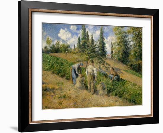 The Harvest, Pontoise, 1881-Camille Pissarro-Framed Giclee Print