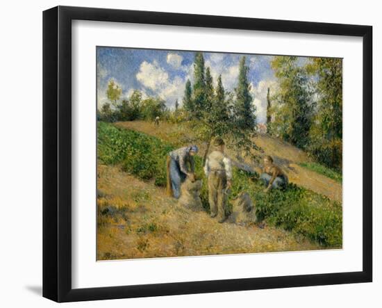 The Harvest, Pontoise, 1881-Camille Pissarro-Framed Giclee Print