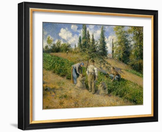 The Harvest, Pontoise, 1881-Camille Pissarro-Framed Giclee Print