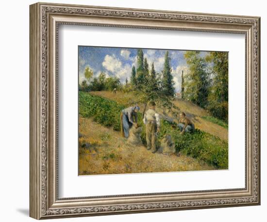 The Harvest, Pontoise, 1881-Camille Pissarro-Framed Giclee Print