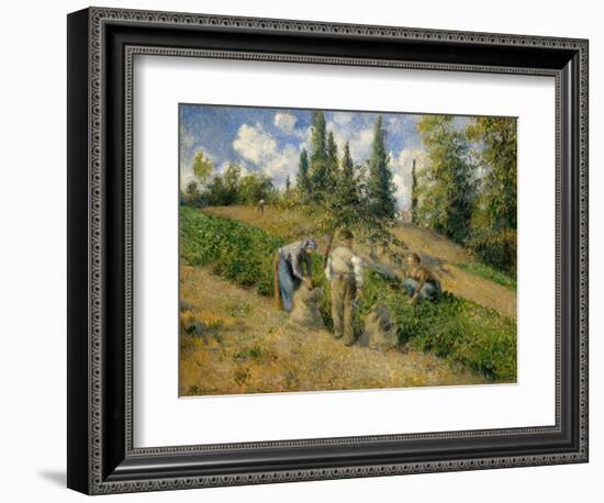 The Harvest, Pontoise, 1881-Camille Pissarro-Framed Giclee Print