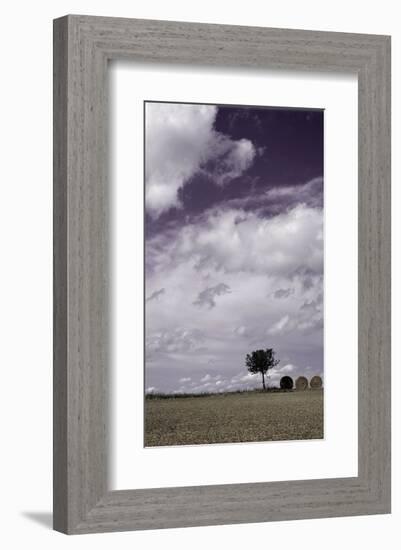 The Harvest-Gill Copeland-Framed Art Print