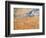 The Harvester-Vincent van Gogh-Framed Giclee Print