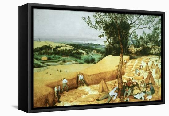 The Harvesters, 1565-Pieter Bruegel the Elder-Framed Premier Image Canvas