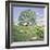 The Hawthorn Tree, 1981-Liz Wright-Framed Giclee Print