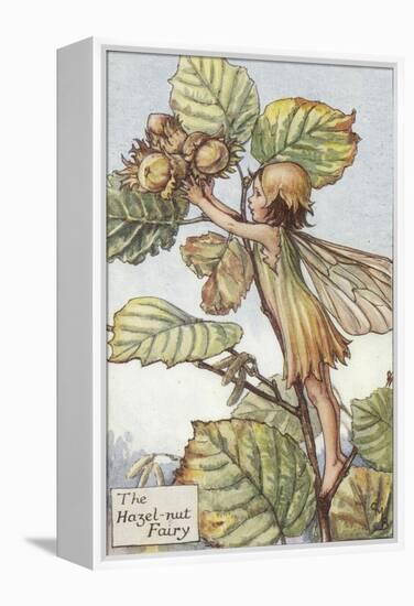 The Hazelnut Fairy-Vision Studio-Framed Stretched Canvas