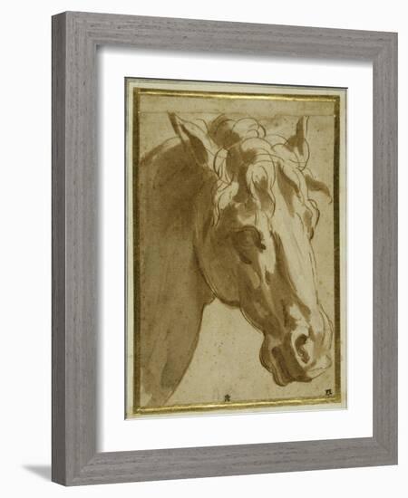 The Head and Neck of a Horse-Parmigianino-Framed Giclee Print