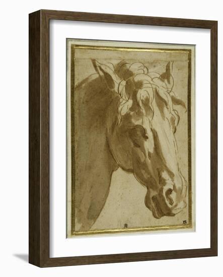 The Head and Neck of a Horse-Parmigianino-Framed Giclee Print