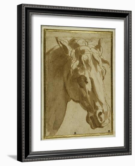 The Head and Neck of a Horse-Parmigianino-Framed Giclee Print