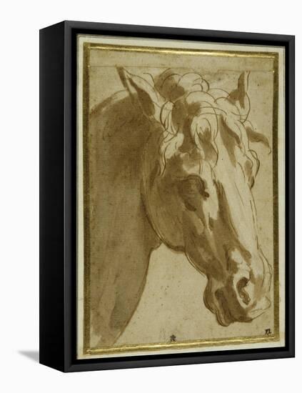 The Head and Neck of a Horse-Parmigianino-Framed Premier Image Canvas