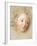 The Head of a Boy-Antoine Coypel-Framed Giclee Print