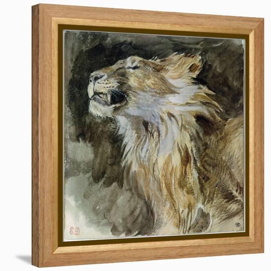 The Head of a Lion (Watercolour on Paper)-Ferdinand Victor Eugene Delacroix-Framed Premier Image Canvas