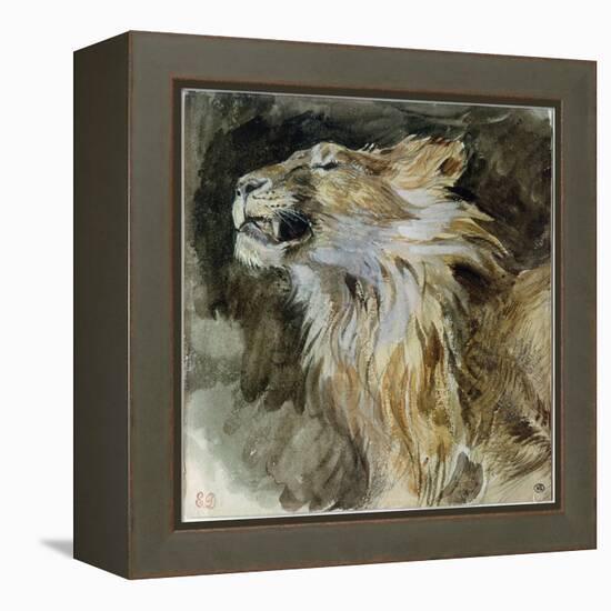 The Head of a Lion (Watercolour on Paper)-Ferdinand Victor Eugene Delacroix-Framed Premier Image Canvas