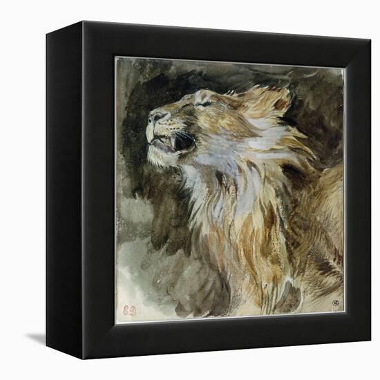 The Head of a Lion (Watercolour on Paper)-Ferdinand Victor Eugene Delacroix-Framed Premier Image Canvas