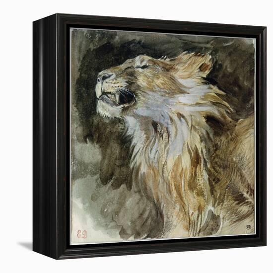 The Head of a Lion (Watercolour on Paper)-Ferdinand Victor Eugene Delacroix-Framed Premier Image Canvas