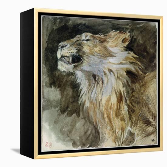 The Head of a Lion (Watercolour on Paper)-Ferdinand Victor Eugene Delacroix-Framed Premier Image Canvas