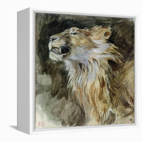 The Head of a Lion (Watercolour on Paper)-Ferdinand Victor Eugene Delacroix-Framed Premier Image Canvas