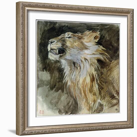 The Head of a Lion (Watercolour on Paper)-Ferdinand Victor Eugene Delacroix-Framed Giclee Print