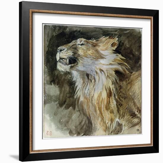 The Head of a Lion (Watercolour on Paper)-Ferdinand Victor Eugene Delacroix-Framed Giclee Print