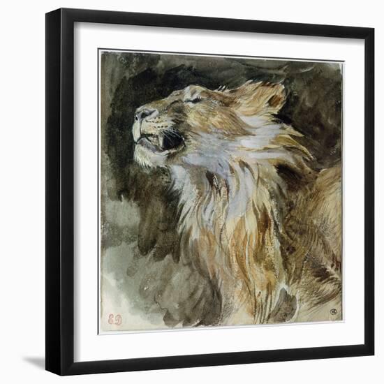 The Head of a Lion (Watercolour on Paper)-Ferdinand Victor Eugene Delacroix-Framed Giclee Print