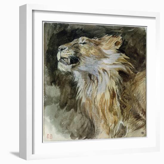 The Head of a Lion (Watercolour on Paper)-Ferdinand Victor Eugene Delacroix-Framed Giclee Print