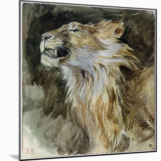 The Head of a Lion (Watercolour on Paper)-Ferdinand Victor Eugene Delacroix-Mounted Giclee Print