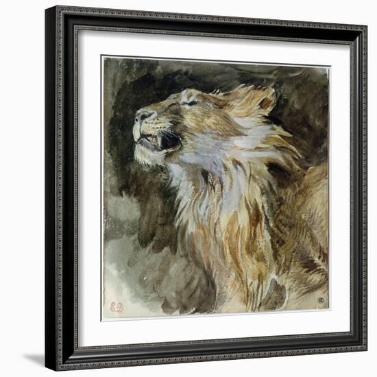 The Head of a Lion (Watercolour on Paper)-Ferdinand Victor Eugene Delacroix-Framed Giclee Print