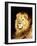 The Head of a Lion-Geza Vastagh-Framed Giclee Print