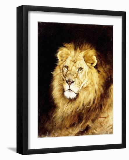 The Head of a Lion-Geza Vastagh-Framed Giclee Print