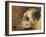 The Head Of A Whippet-Edwin Landseer-Framed Giclee Print