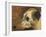 The Head Of A Whippet-Edwin Landseer-Framed Giclee Print