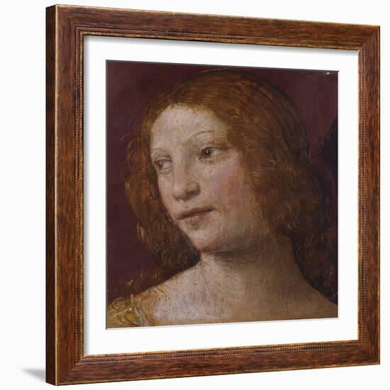 The Head of an Angel - a Fragment-Bernardino Luini-Framed Giclee Print