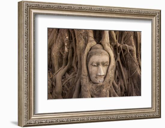 The head of Buddha in Wat Mahathat, Ayutthaya Historical Park, Thailand-Art Wolfe-Framed Photographic Print