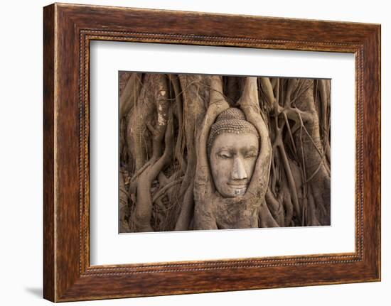 The head of Buddha in Wat Mahathat, Ayutthaya Historical Park, Thailand-Art Wolfe-Framed Photographic Print